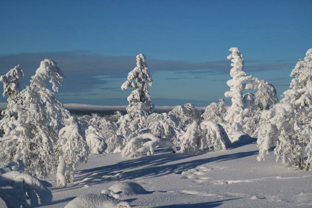 Polaris Homes For You, Apartment Rovaniemi Dış mekan fotoğraf